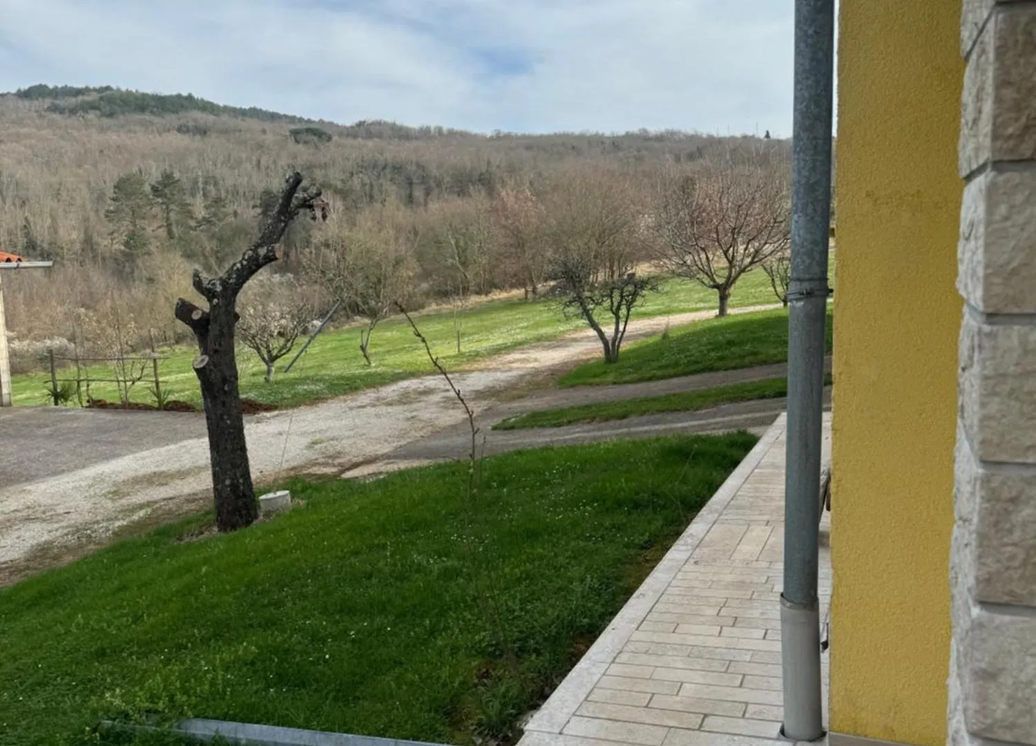 Apartmani Antonio Motovun Croatia